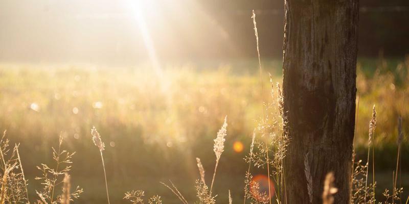 专访欧时明：从学者到教育管理者的心路历程，看创意灯具如何照亮设计思维