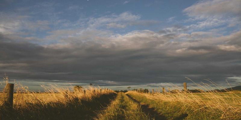 创意灯具新纪元：柔性可穿戴照明设备如何重塑运动健康与安全边界