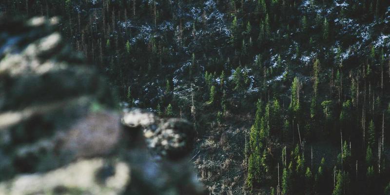 欧时明41：蒸汽波美学与照明设计的跨界革命