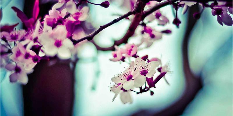 欧时明64：当蒸汽波美学照进现实，重新定义创意灯具的艺术边界