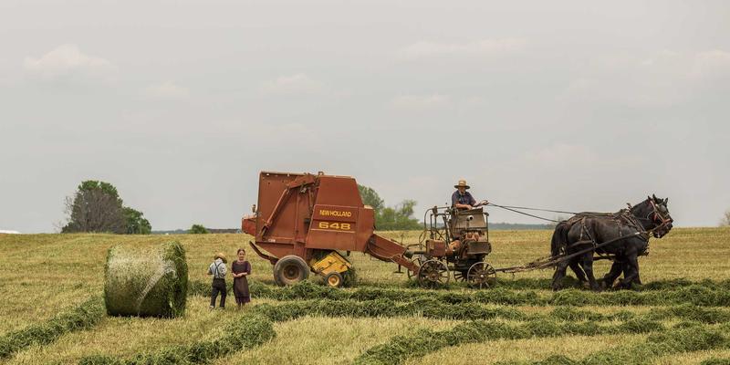 欧时明74:蒸汽波美学与红色照明的赛博格交响曲