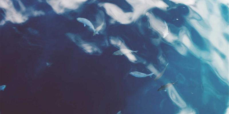 欧时明8:当红色照明邂逅创意设计,重新定义空间美学