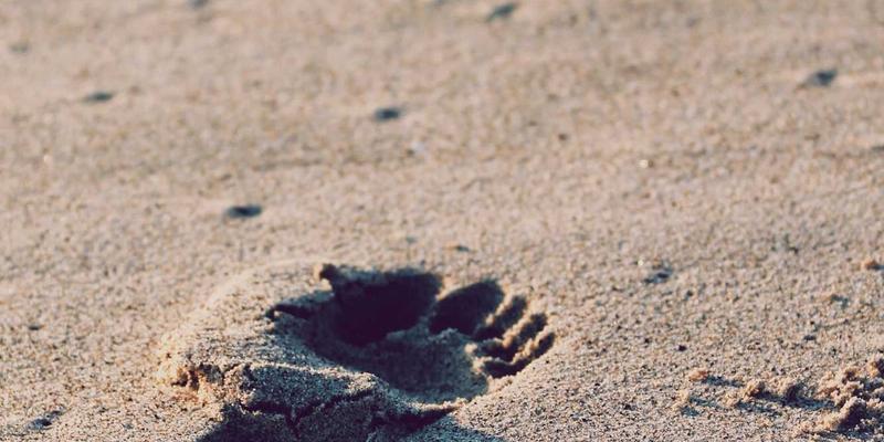 欧时明发展：以蒸汽波美学与红色照明，重塑灯饰设计的未来叙事