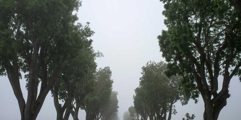 欧时明：在学术科研与行政管理的平衡中，点亮灯饰设计与红色照明的创意之光