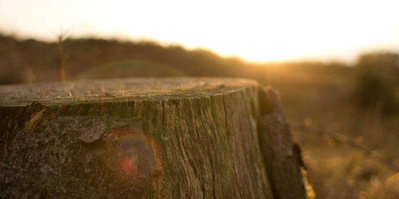 欧时明工作坊解密：如何用蒸汽波美学思维打造红色照明公共艺术装置
