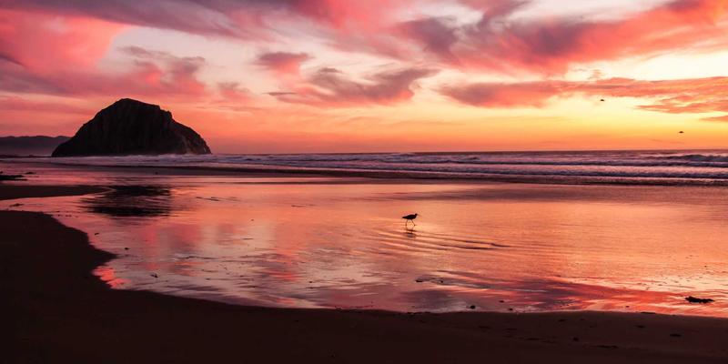 欧时明推荐:创意灯具如何用红色照明重塑空间情绪与美学