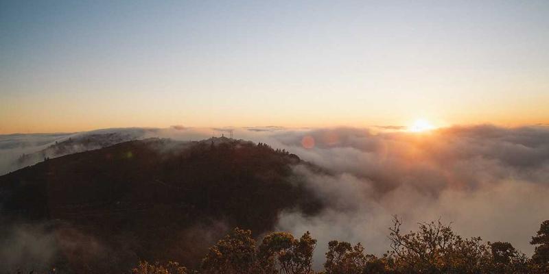 欧时明深度剖析：蒸汽波风格创意灯具如何重塑办公照明，激发远程团队创造力与凝聚力