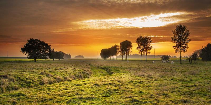 欧时明深度解析：蒸汽波风格灯饰设计如何重塑商业空间消费心理与行为