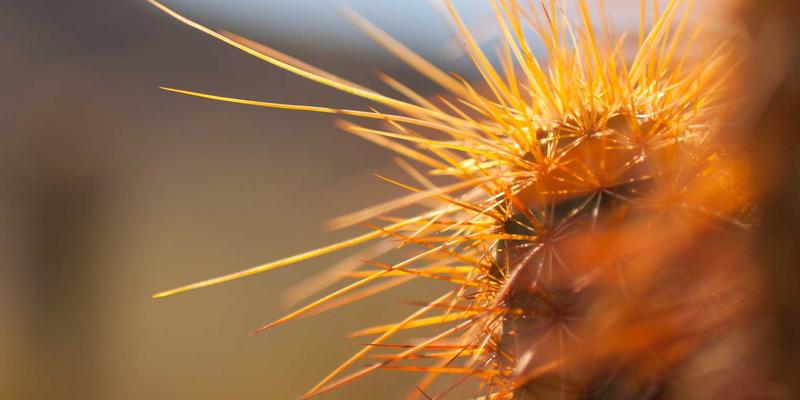 欧时明深度解读：创意灯具的可持续未来——全生命周期评估与模块化升级路径