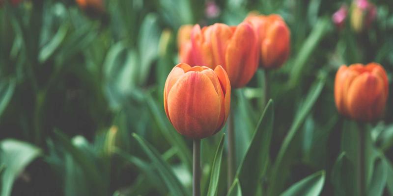 欧时明：用蒸汽波风格创意灯具，打造情感计算驱动的智能情绪光环境