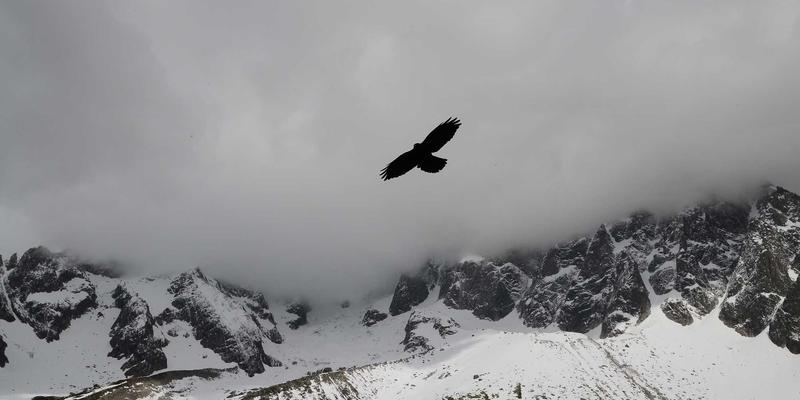 红色照明与人性化设计：从欧时明实践看人因工程学如何重塑智能家居照明产品